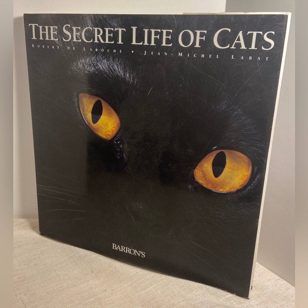 The Secret Life of Cats Book BARRON’S 90s vintage cat art artifact photos pics